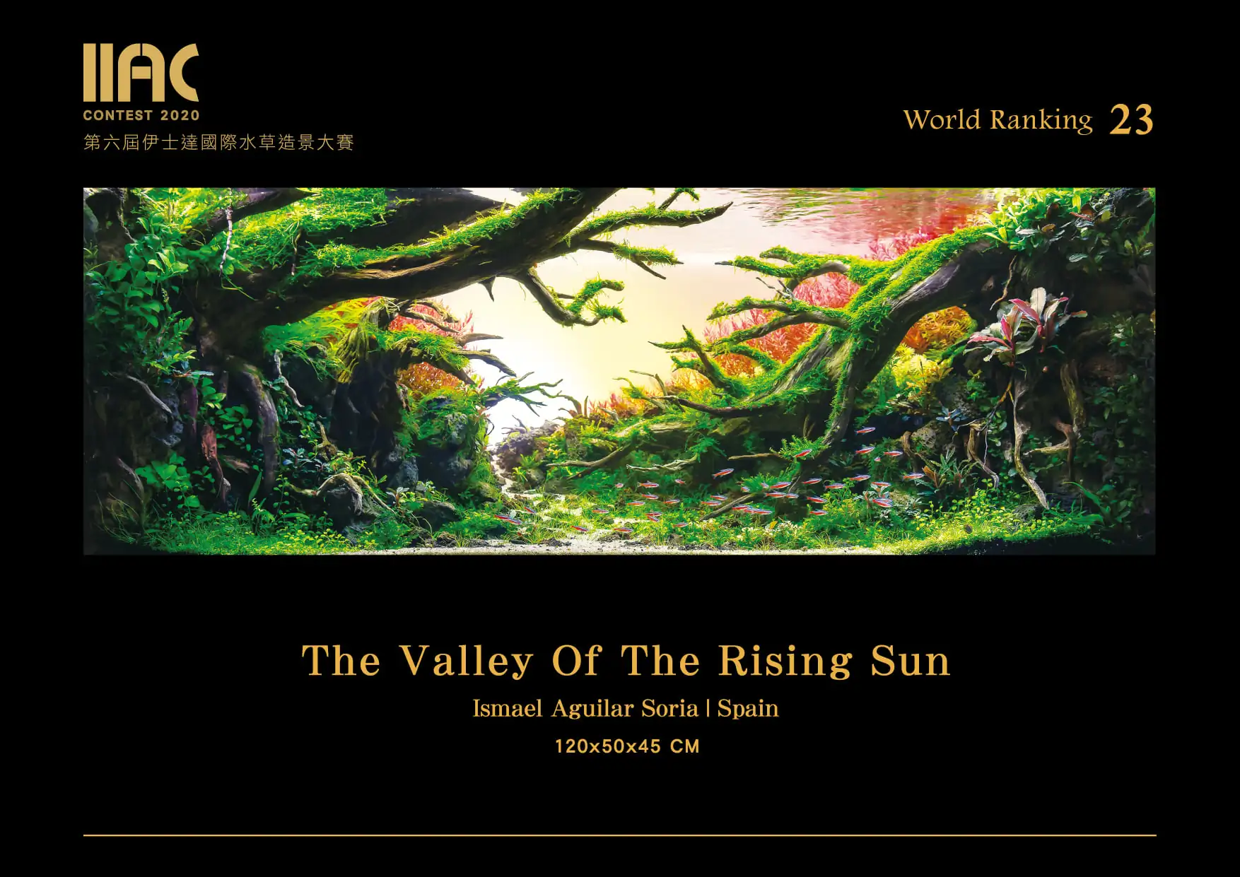 The valley of the rising sun - IIAC 2020 #23 Ismael Aguilar Soria / Spain
