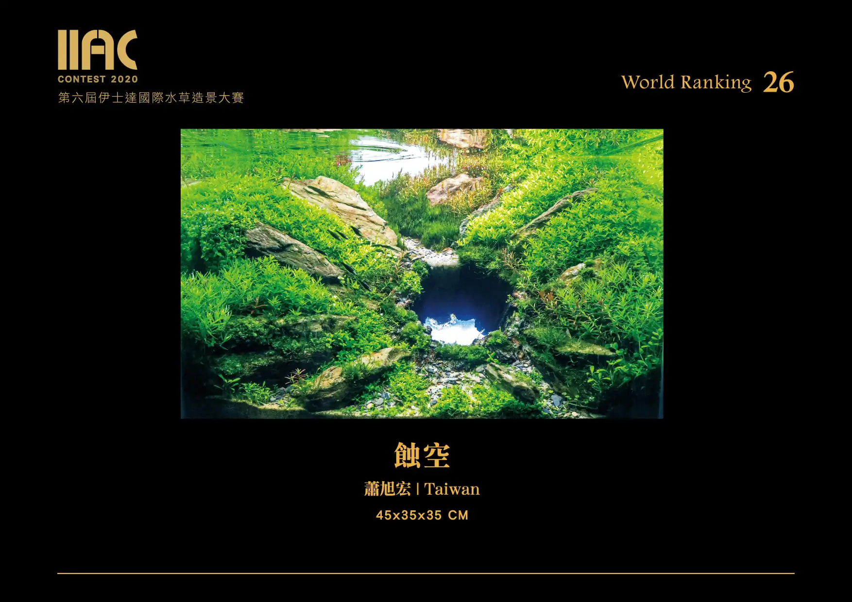 Erode - IIAC 2020 #26 Xiao Xuhong / Taiwan