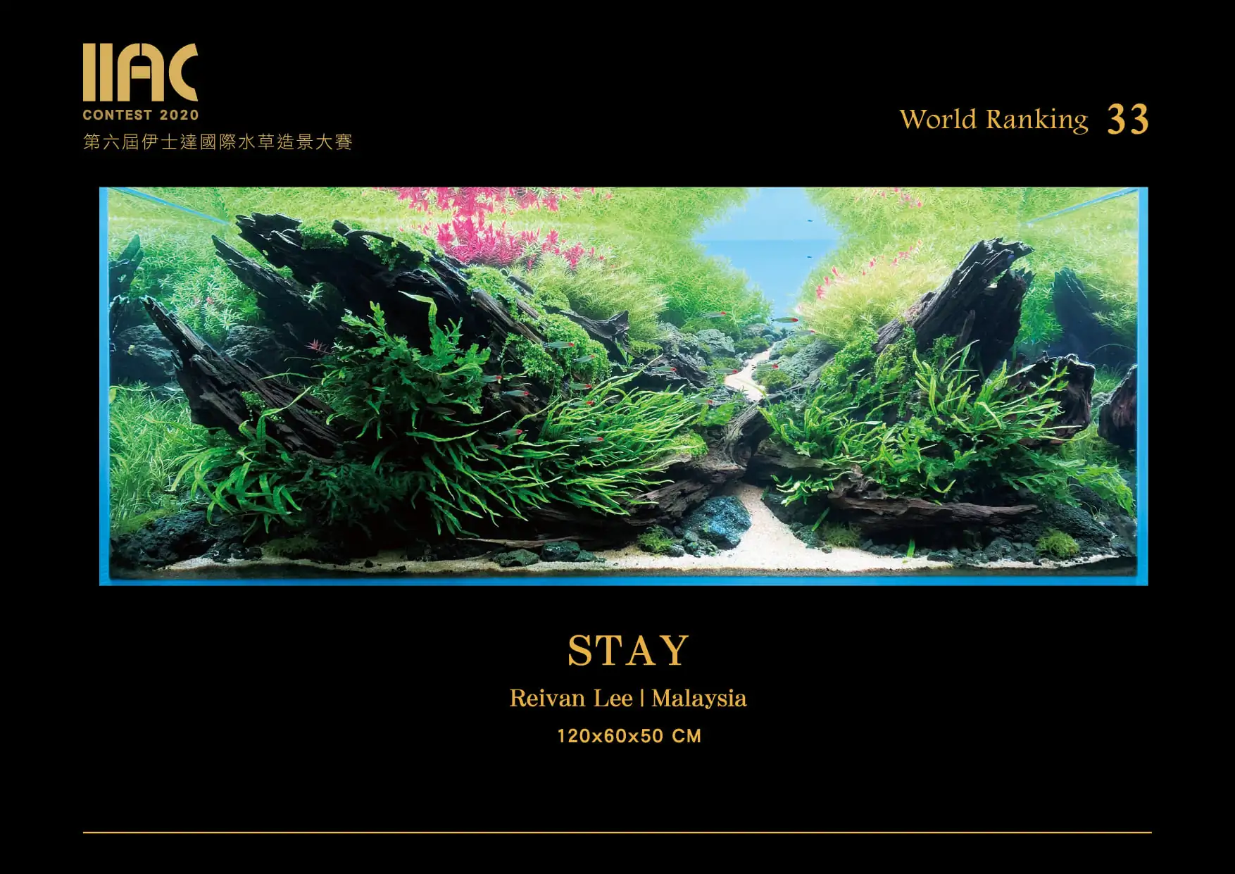 Stay - IIAC 2020 #33 Reivan Lee / Malaysia