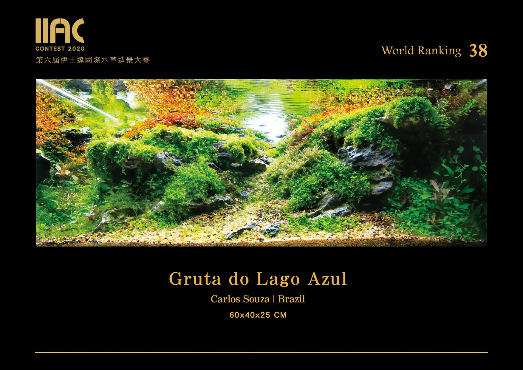 Gruta do Lago Azul - IIAC 2020 #38 - Carlos Souza / Brazil