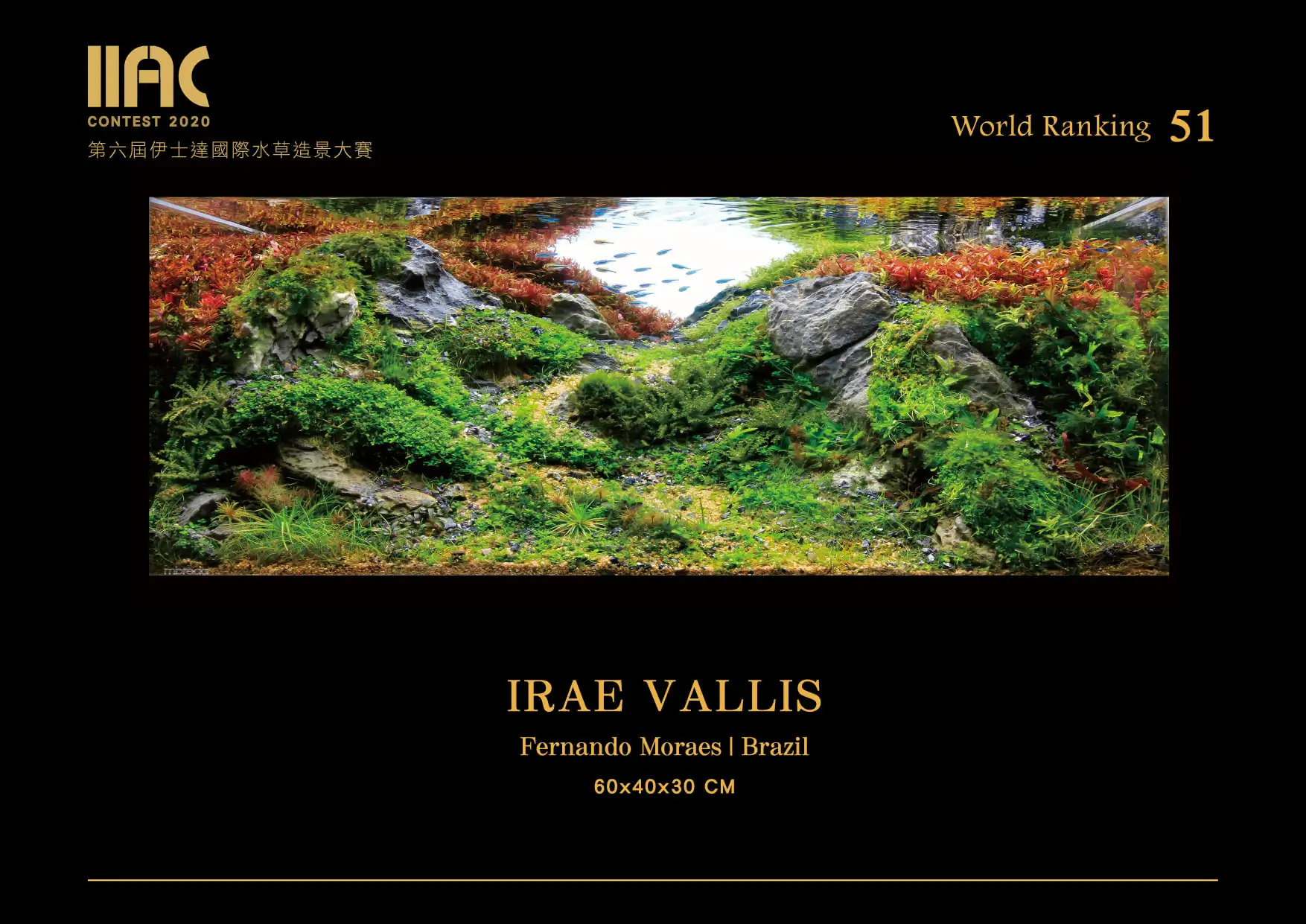Irae Vallis - IIAC 2020 #51 - Fernando Moraes / Brazil