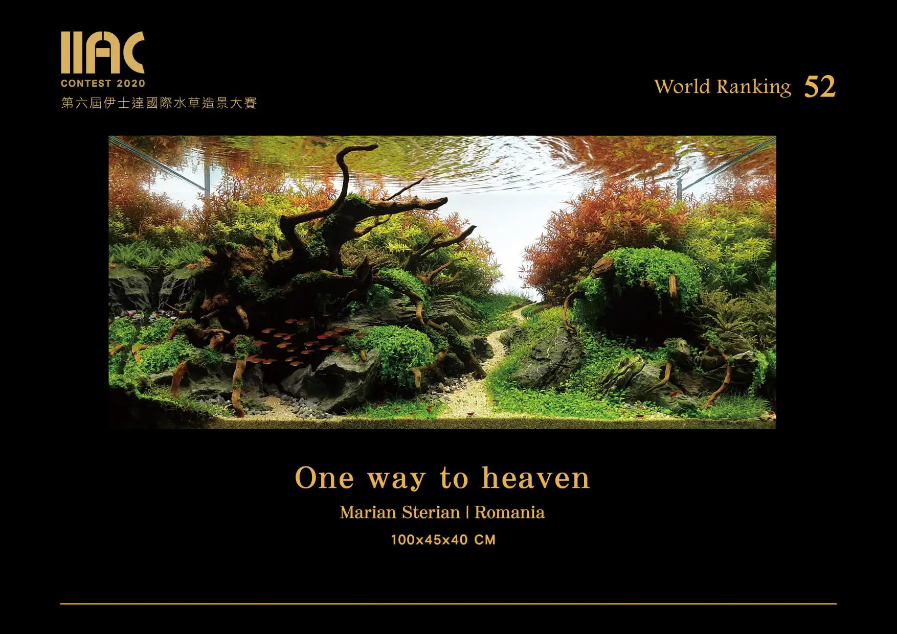 One way to heaven - IIAC 2020 #52 - Marian Sterian / Romania