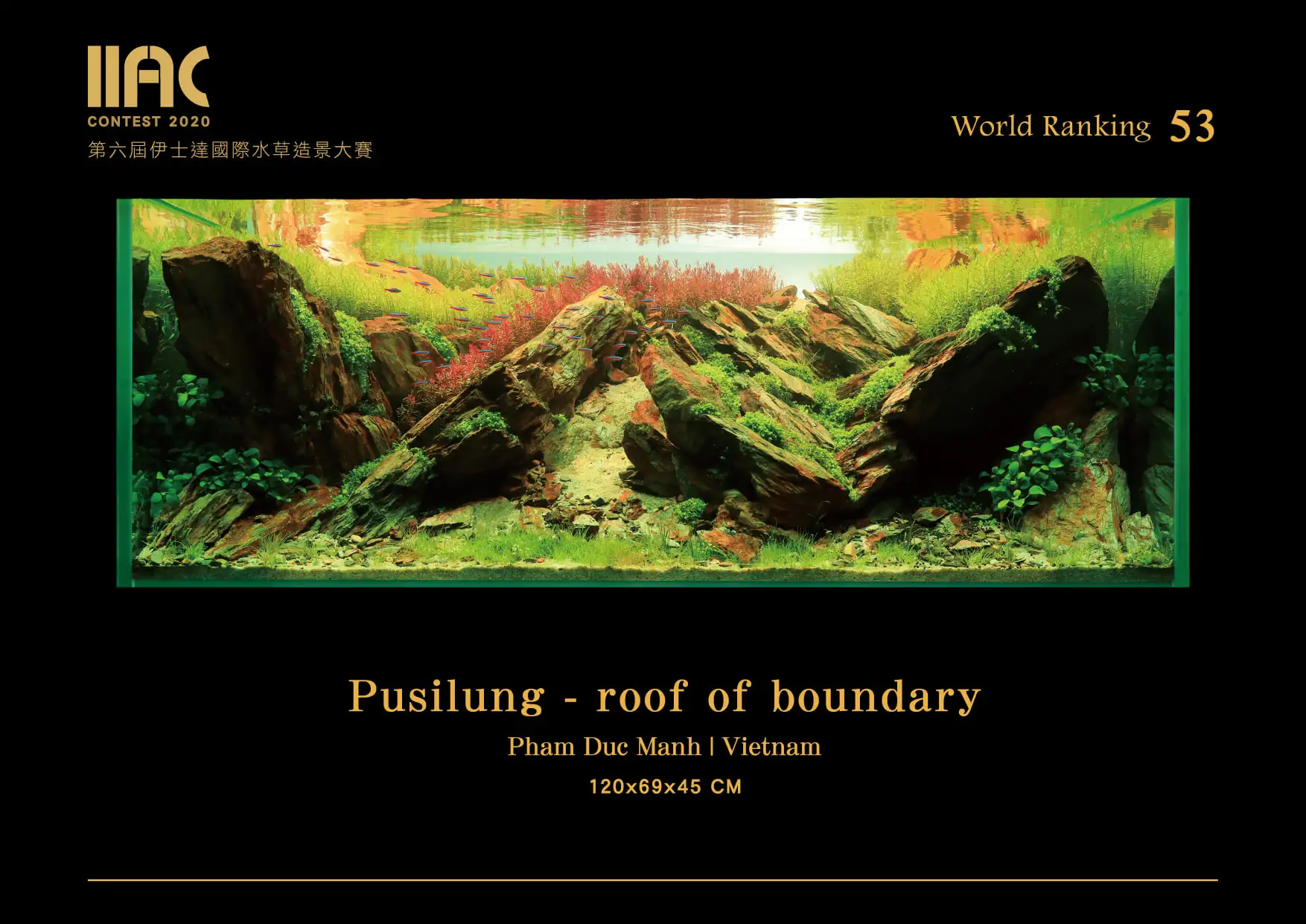 Pusilung - roof of boundary - IIAC 2020 #53 - Pham Duc Manh / VietNam