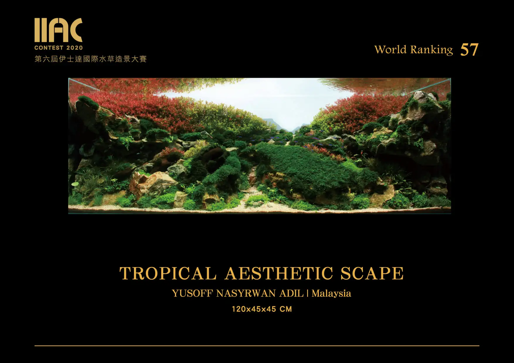 Tropical Aesthetic Scape - IIAC 2020 #57 - Yusoff Nasyrwan Adil / Malaysia