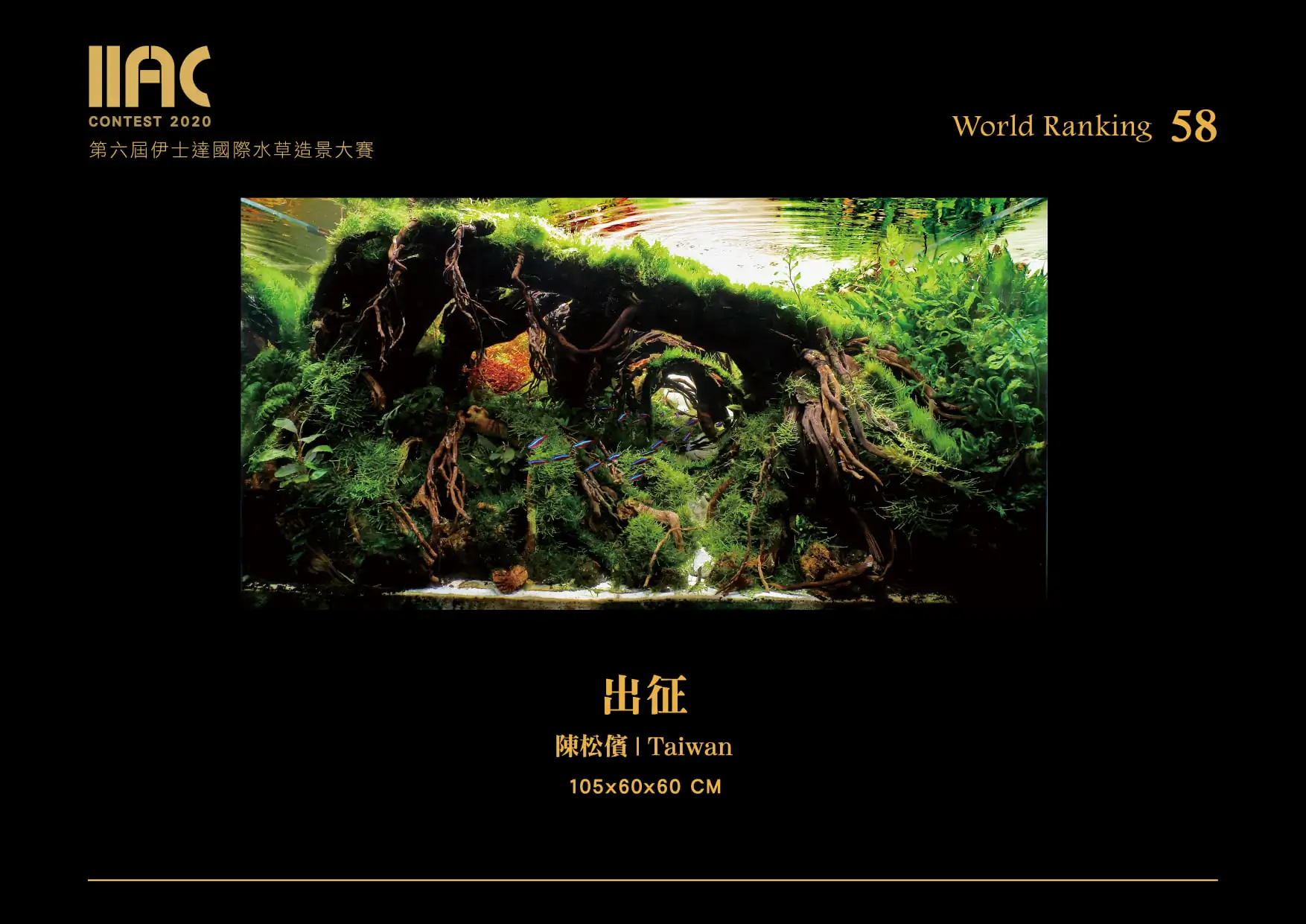 Fighting - IIAC 2020 #58 - Chen Songchun / Taiwan