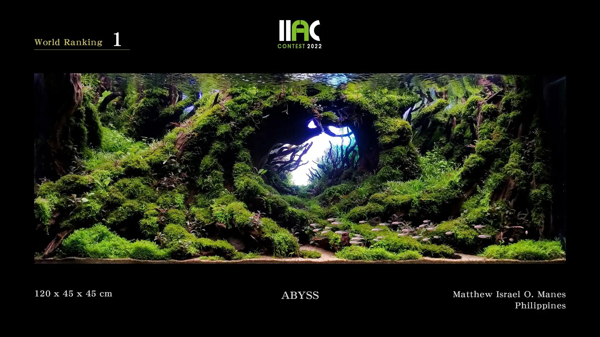 ABYSS - IIAC 2022 #1 Matthew Israel Manes / Philippines
