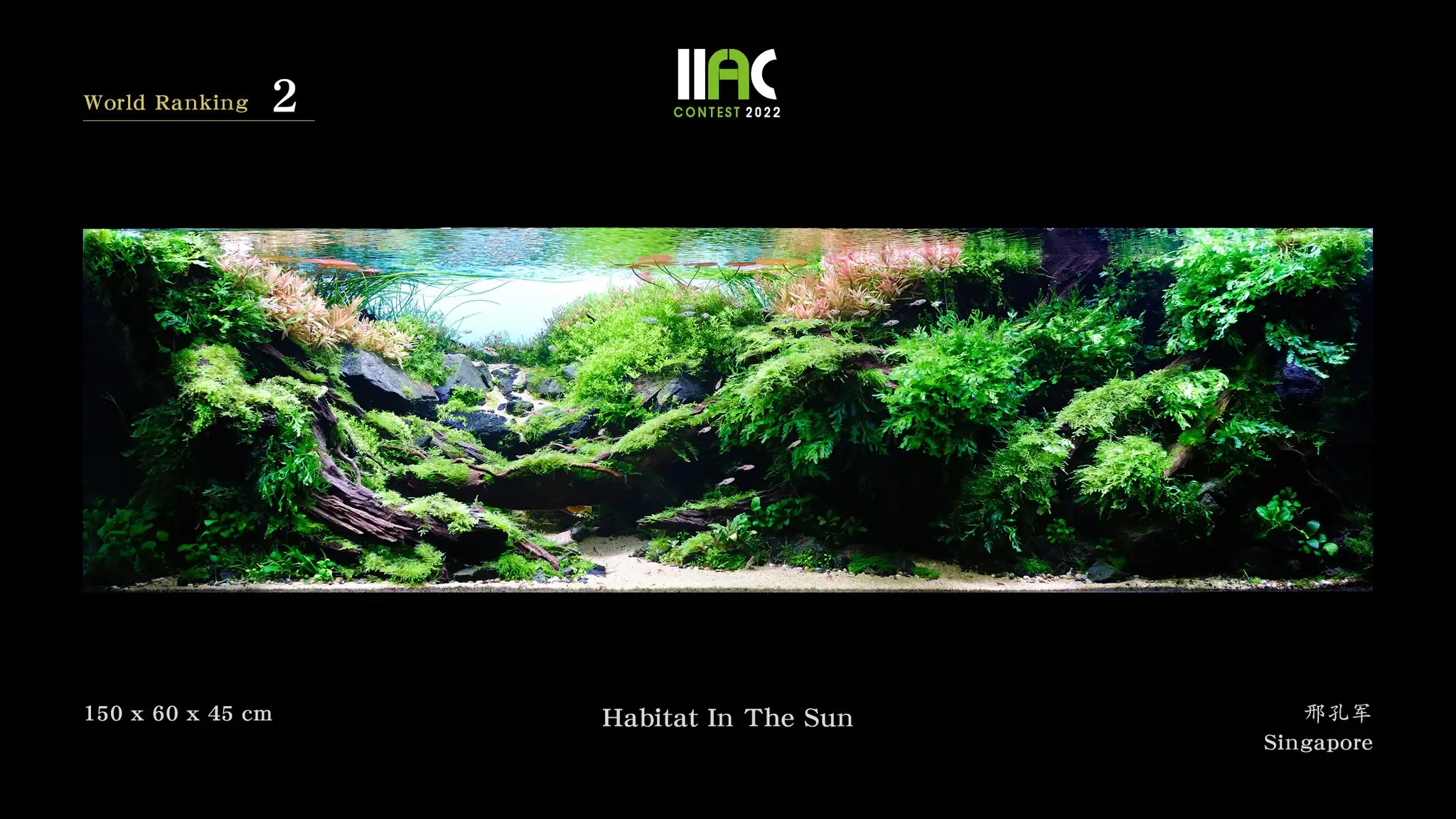Habitat In The Sun - IIAC 2022 #2 Xing Kongjun / Singapore