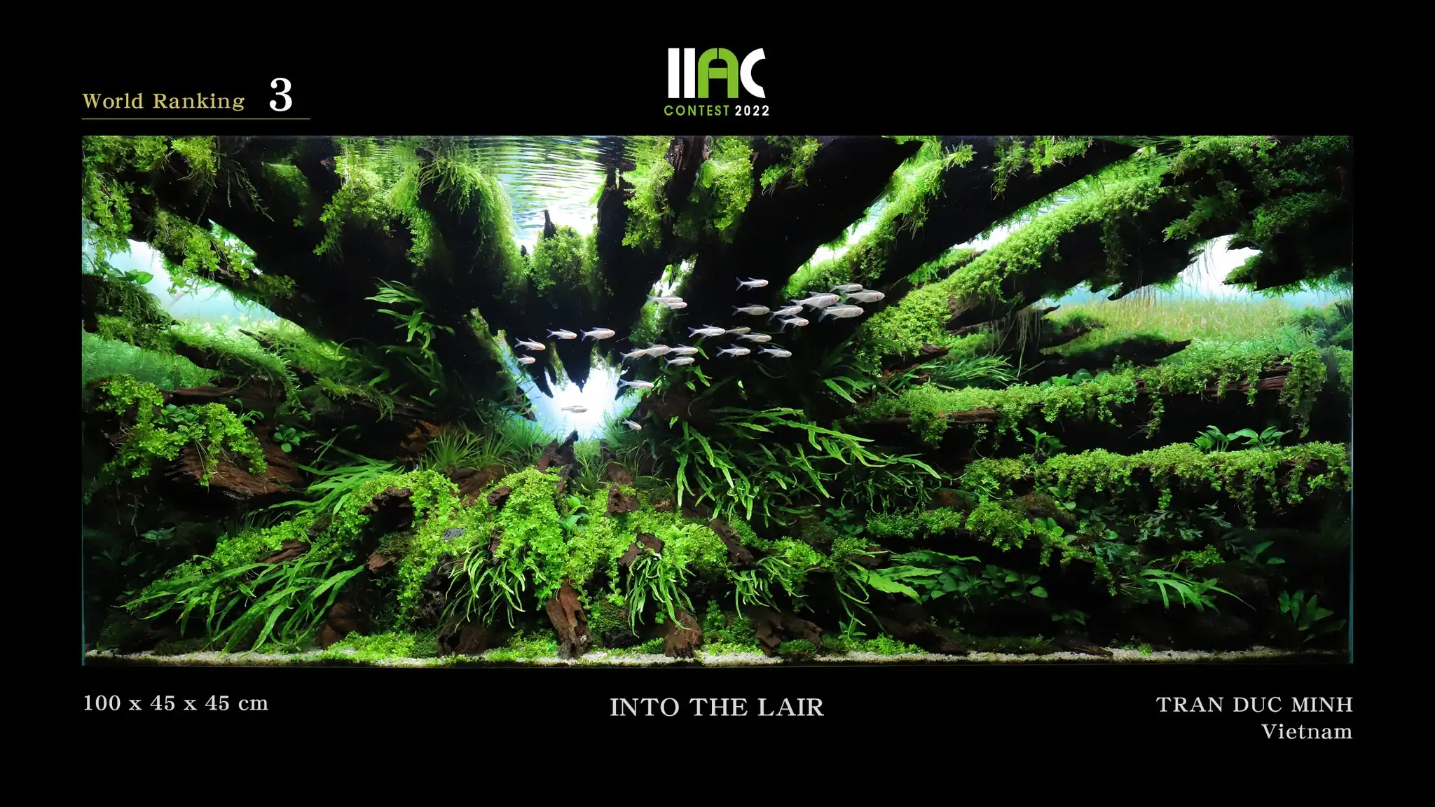 INTO THE LAIR - IIAC 2022 #3 Tran Duc Minh / Vietmam