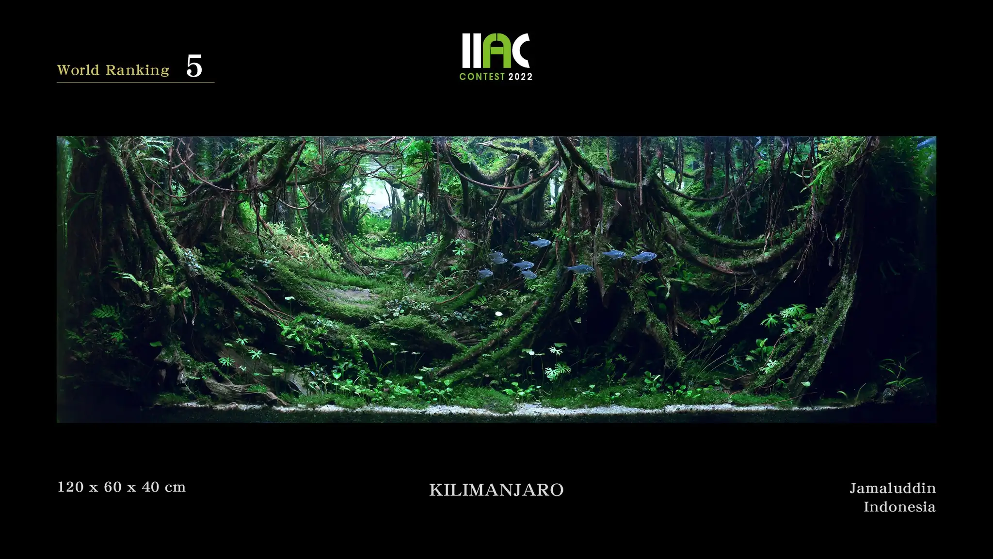 KILIMANJARO - IIAC 2022 #5 Jamaluddin / Indonesia