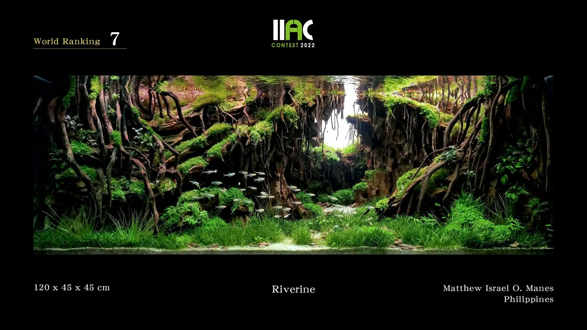 Riverine - IIAC 2022 #7 Matthew Israel Manes / Philippines