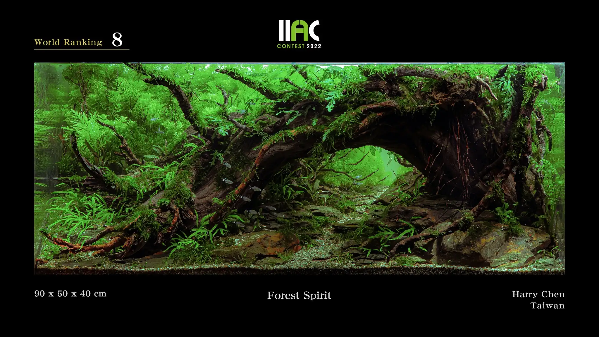 Forest Spirit - IIAC 2022 #8 Harry Chen / Taiwan
