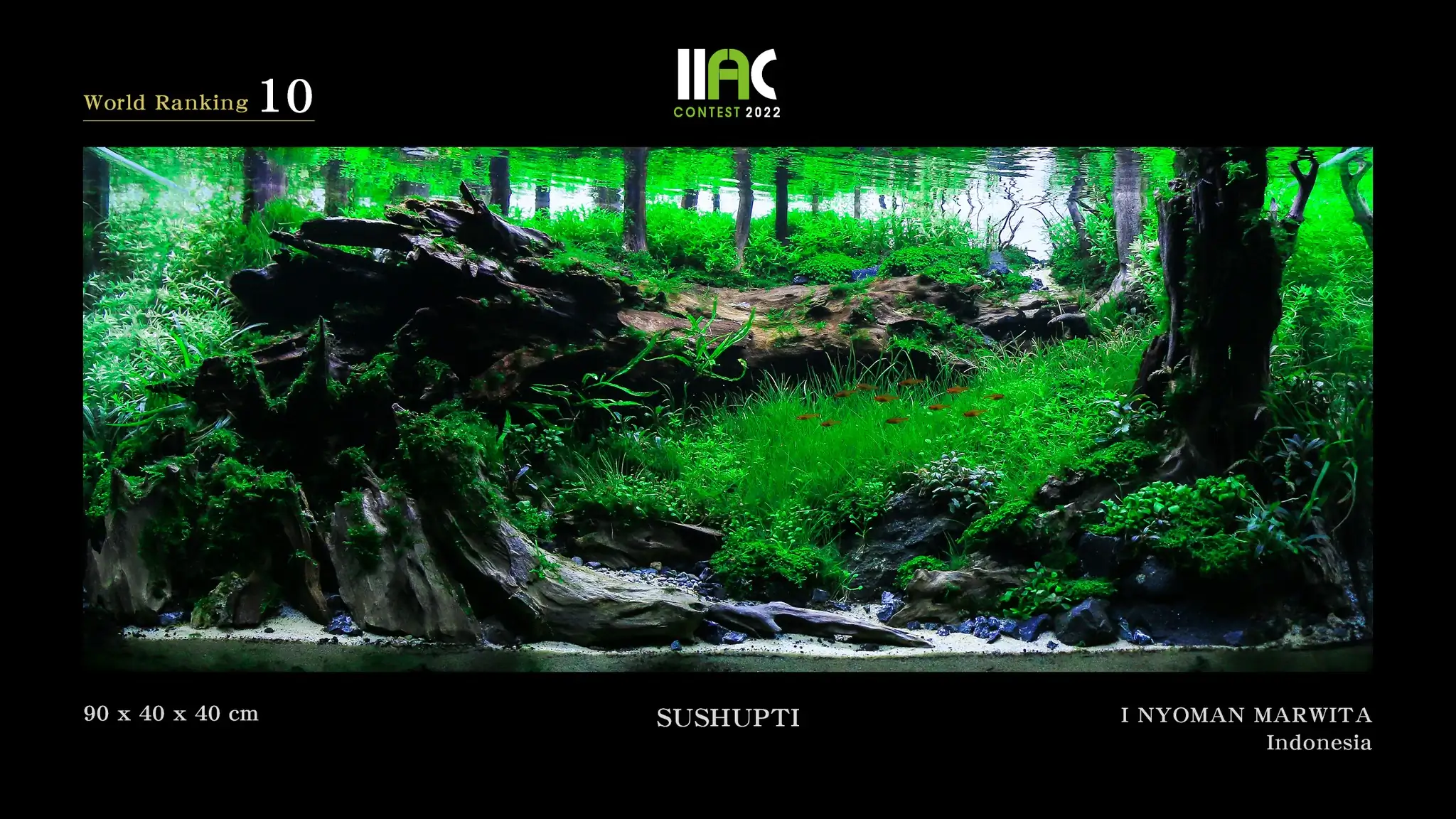 SUSHUPTI - IIAC 2022 #10 I Nyoman Marwita / Indonesia