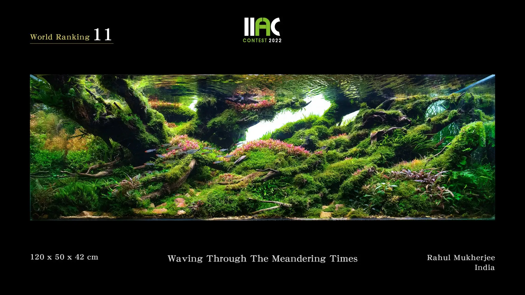 Waving Through The Meandering Times - IIAC 2022 #11 Rahul Mukherjee / India