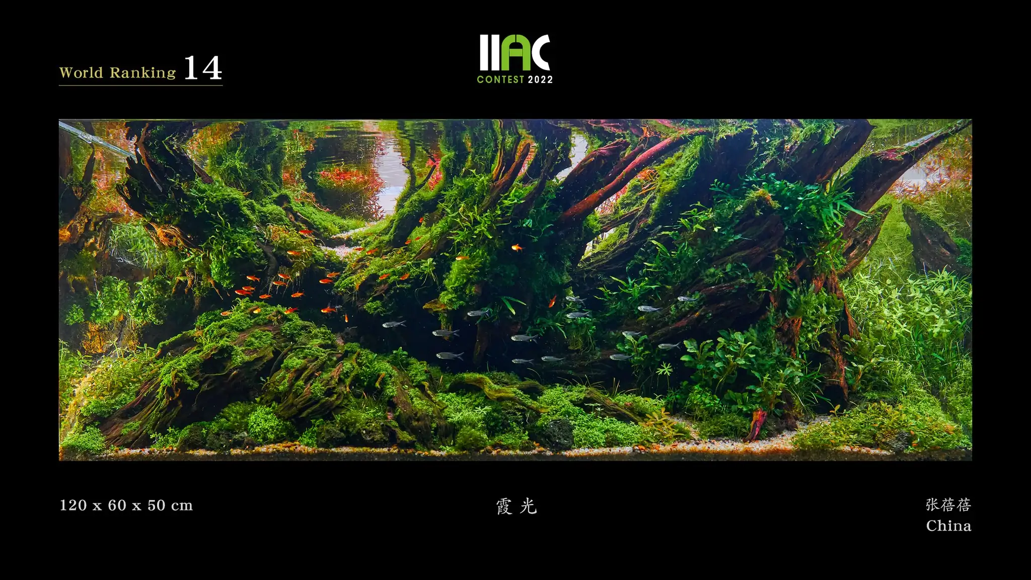 Glowing Twilight - IIAC 2022 #14 Zhang Beibei / China