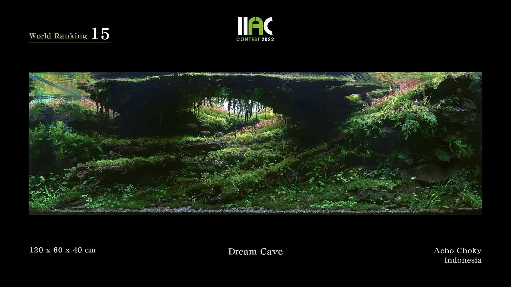 Dream Cave - IIAC 2022 #15 Acho Choky / Indonesia