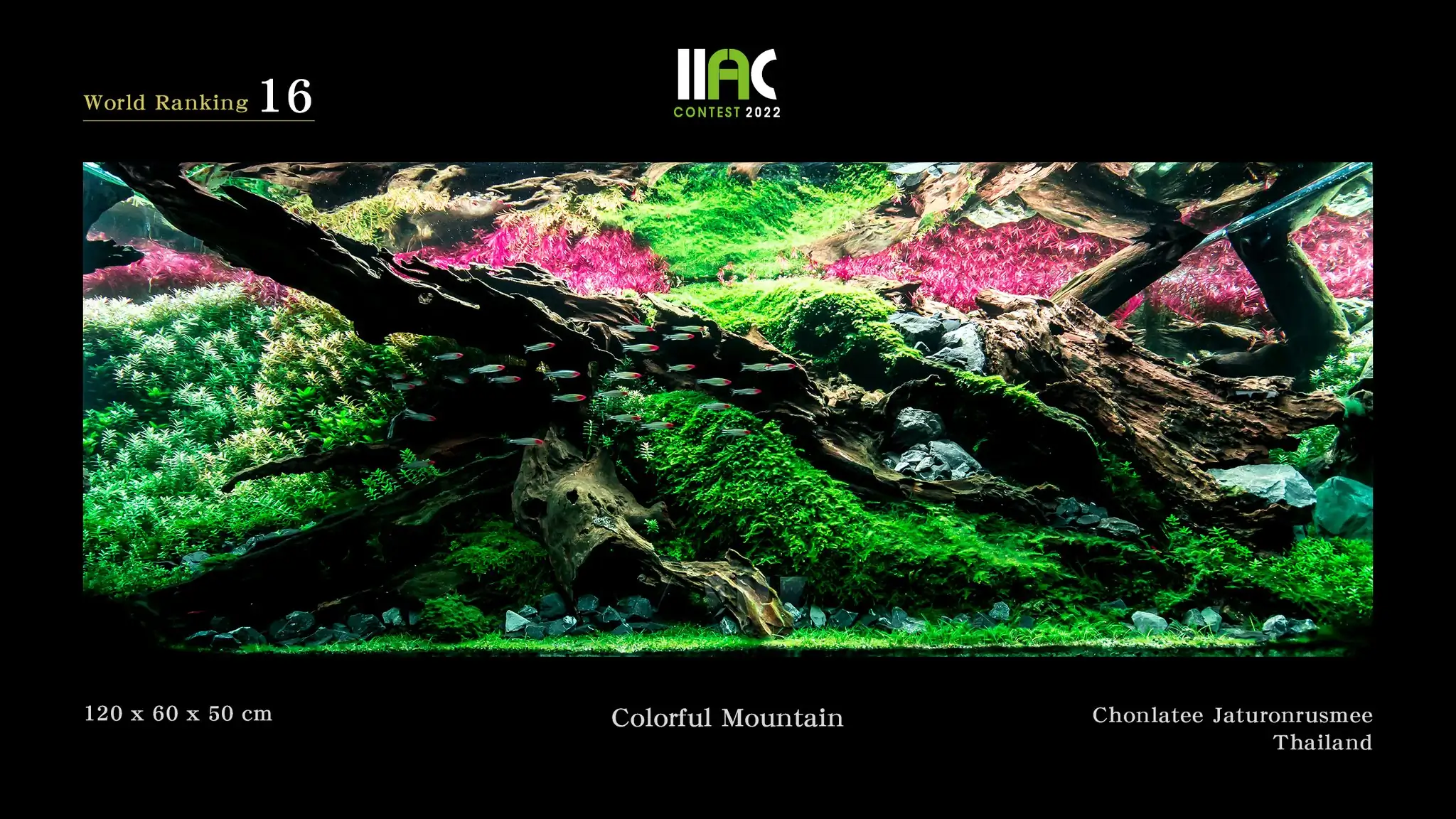 Colorful Mountain - IIAC 2022 #16 Chonlatee Jaturonrusmee / Thailand