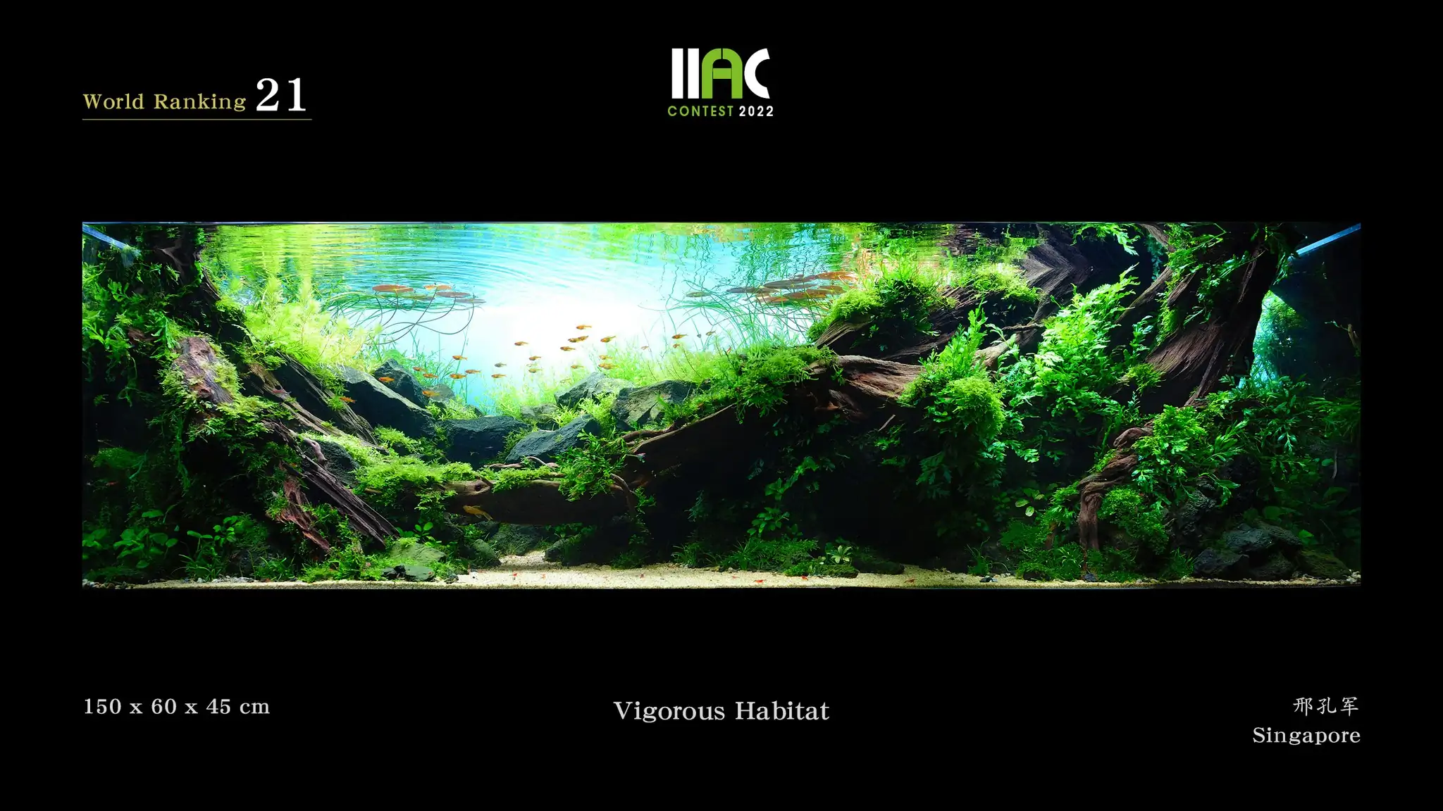 Vigorous Habitat - IIAC 2022 #21 Xing Kongjun / Singapore