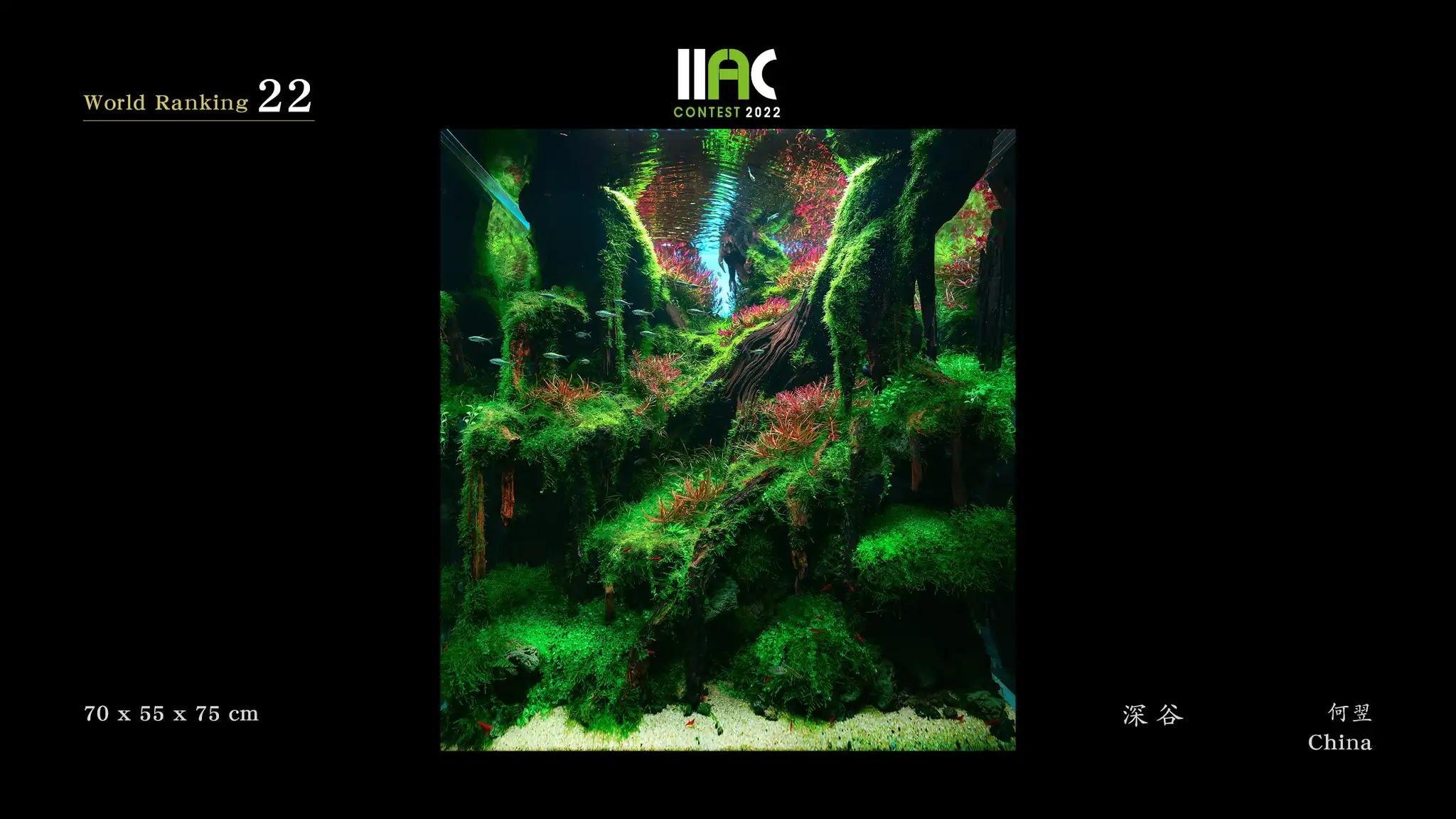 Deep Valley - IIAC 2022 #22 He Yi / China