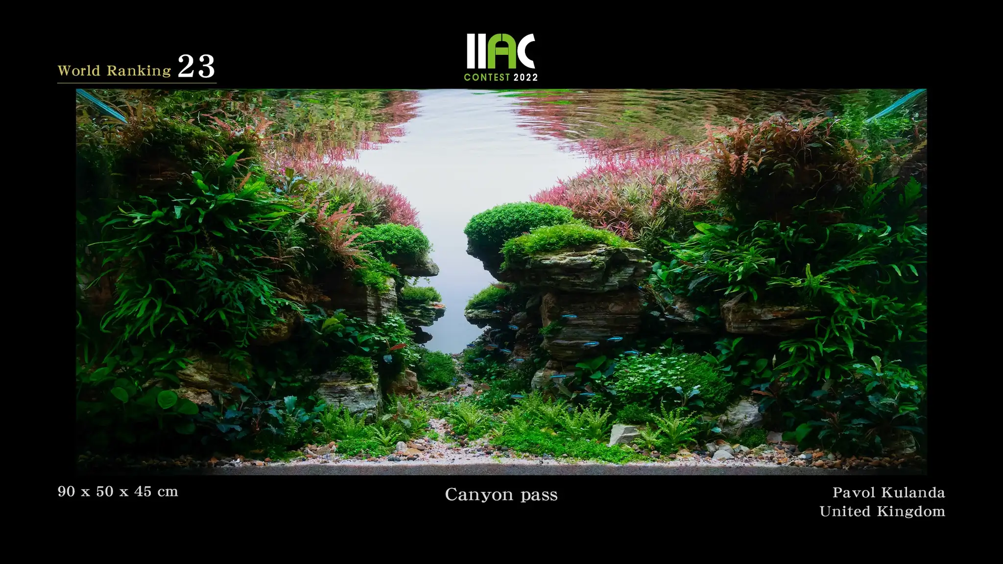 Canyon Pass - IIAC 2022 #23 Pavol Kulanda / United Kingdom