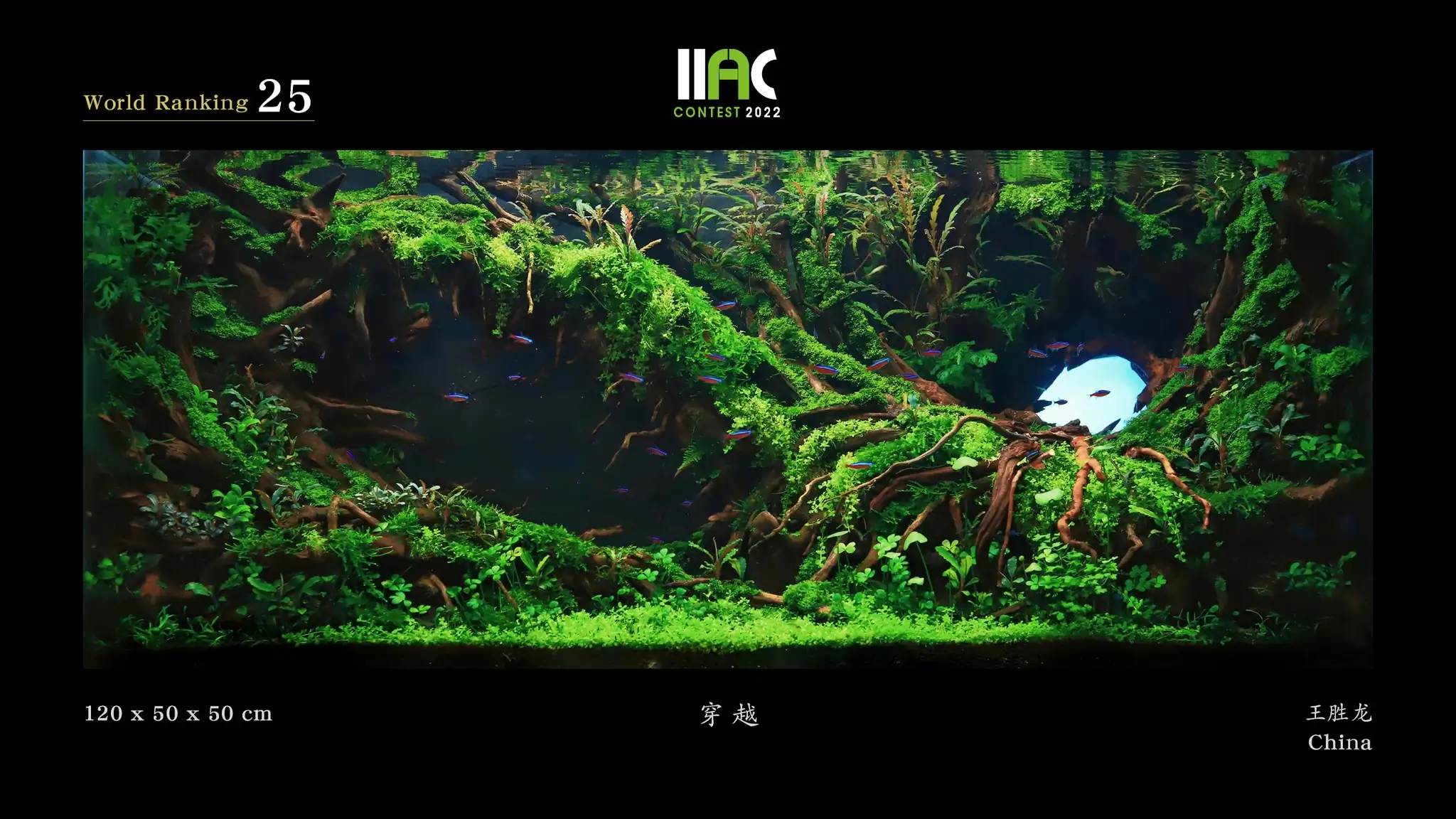 Pass Through - IIAC 2022 #25 Wang Shenglong / China