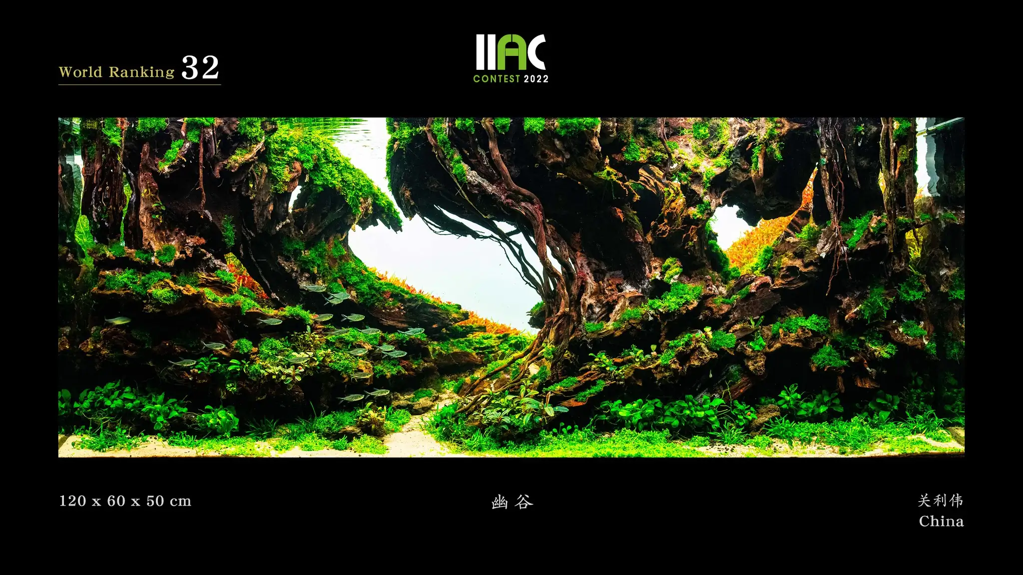 Valley - IIAC 2022 #32 Guan Liwei / China