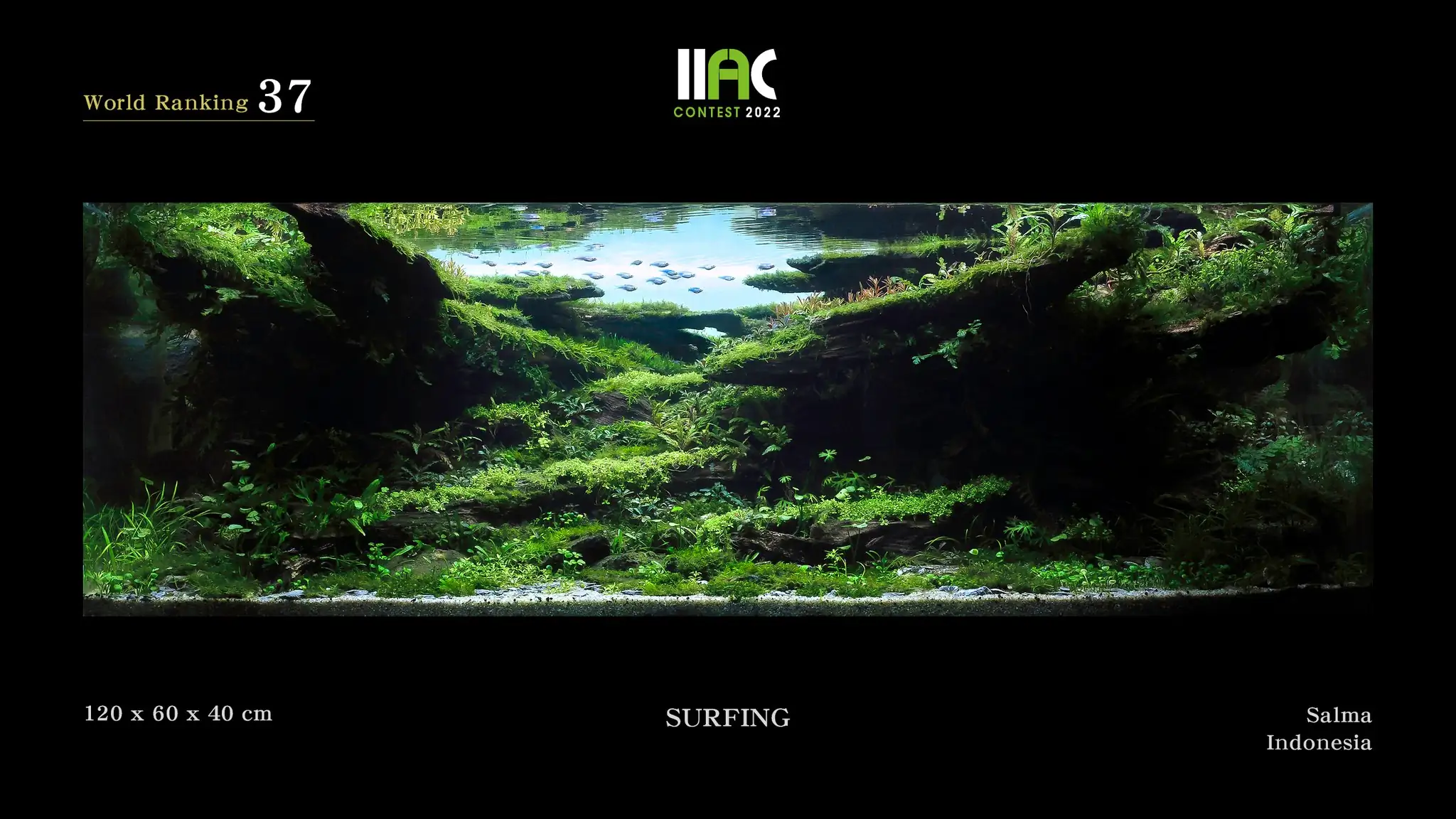 Surfing - IIAC 2022 #37 Salma / Indonesia