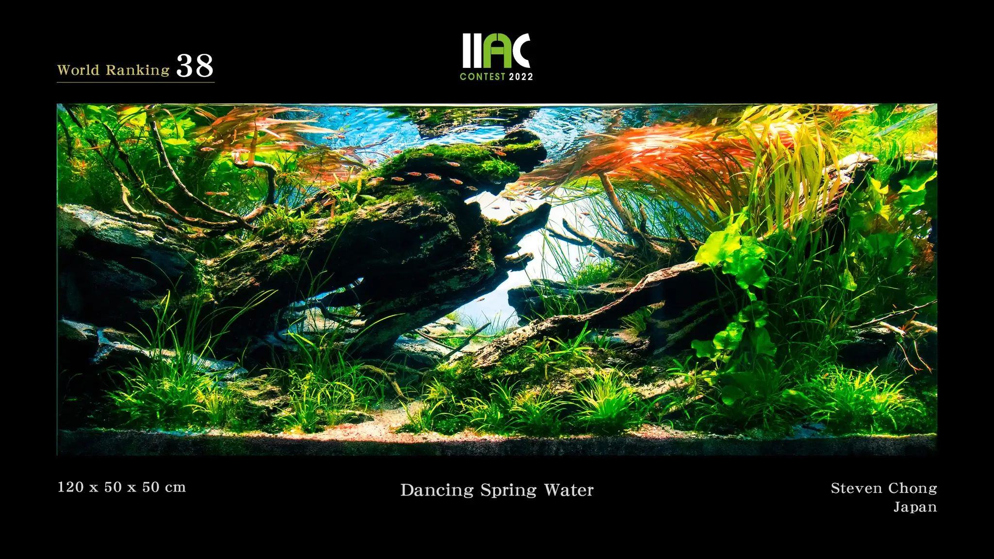 Dancing Spring Water - IIAC 2022 #38 Steven Chong / Japan