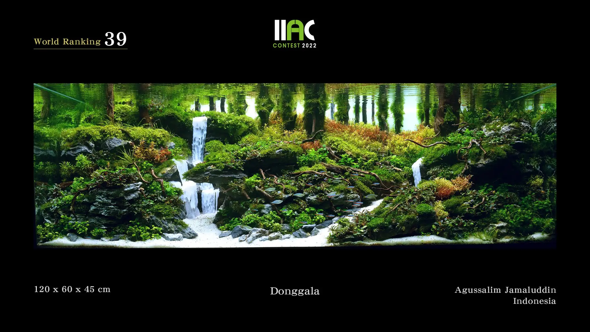 Donggala - IIAC 2022 #39 Agussalim Jamaluddin / Indonesia