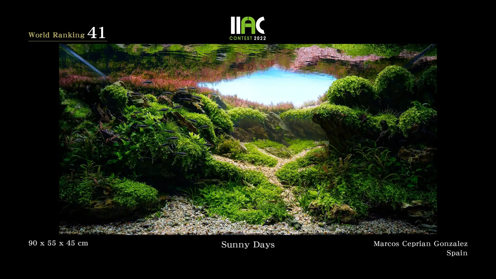 Sunny Days - IIAC 2022 #41 Marcos Ceprian Conzalez / Spain