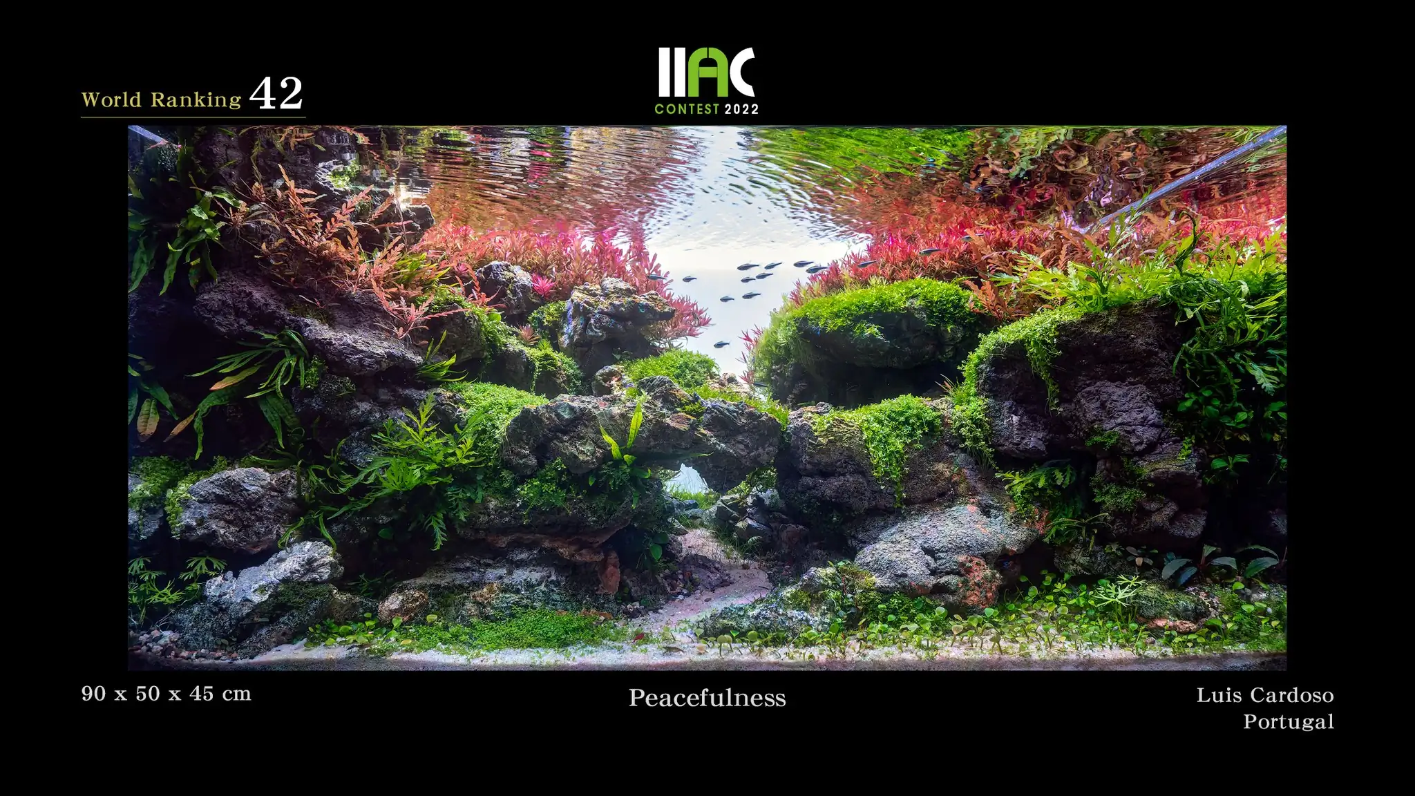Peacefulness - IIAC 2022 #42 Luis Cardoso / Portugal