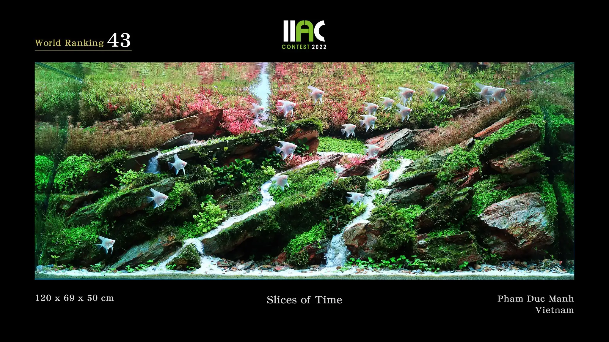 Slices of Time - IIAC 2022 #43 Pham Duc Manh / VietNam