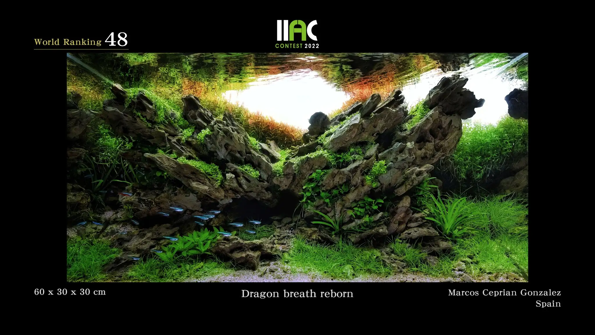 Dragon Breath Reborn - IIAC 2022 #48 Marcos Ceprian Gonzalez / Spain