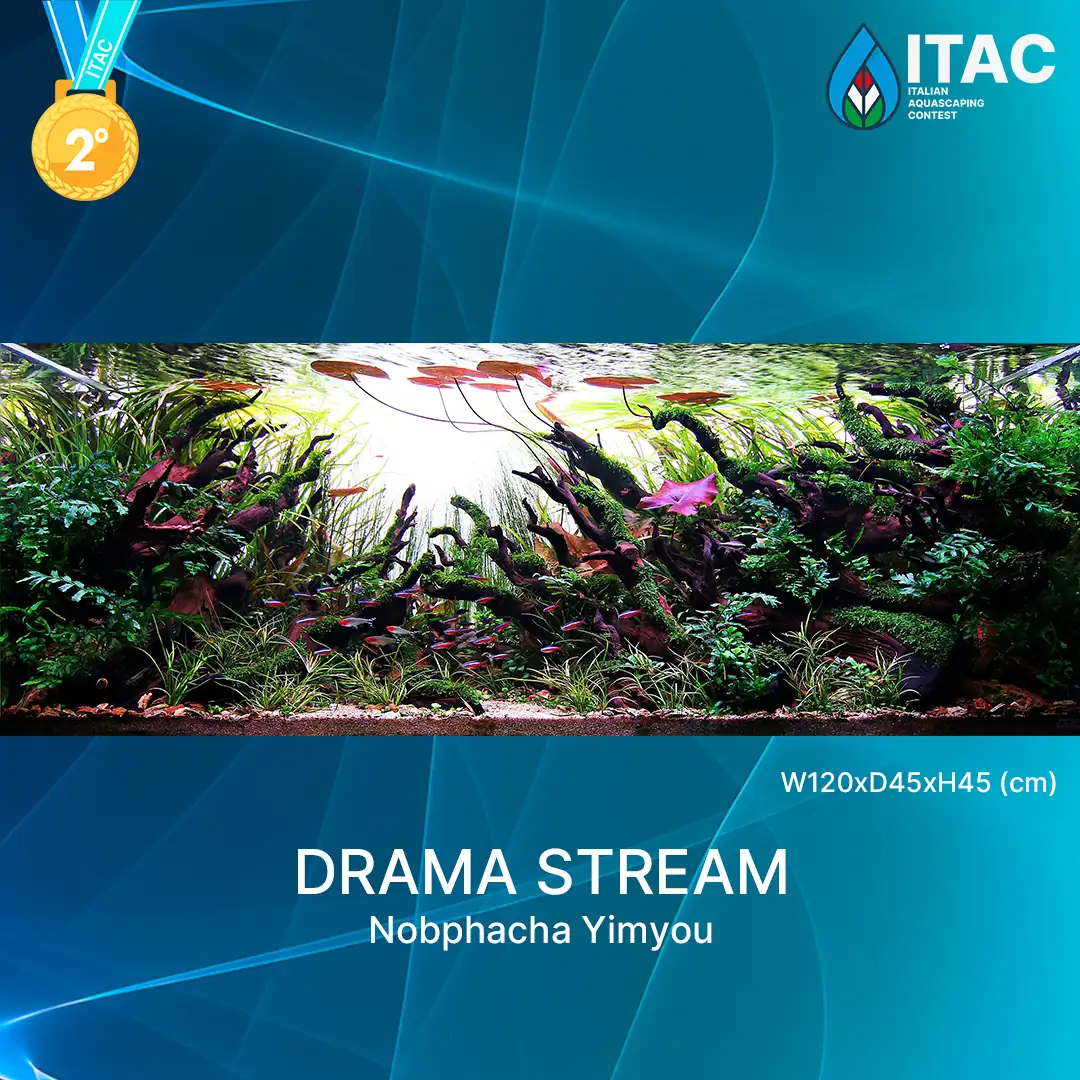 ITAC 2022 - The Italian Aquascaping Contest ITAC 2022 - The Italian Aquascaping Contest