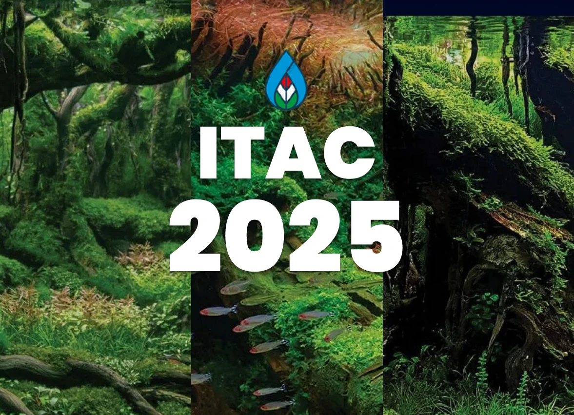 ITAC International Aquascaping Contest 2025 Final result 