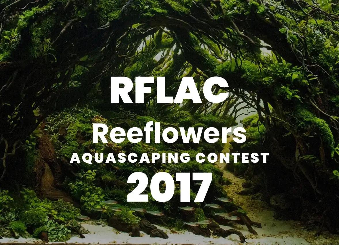 RFLAC 2017 - Reeflowers Aquascaping Contest 2017 Result