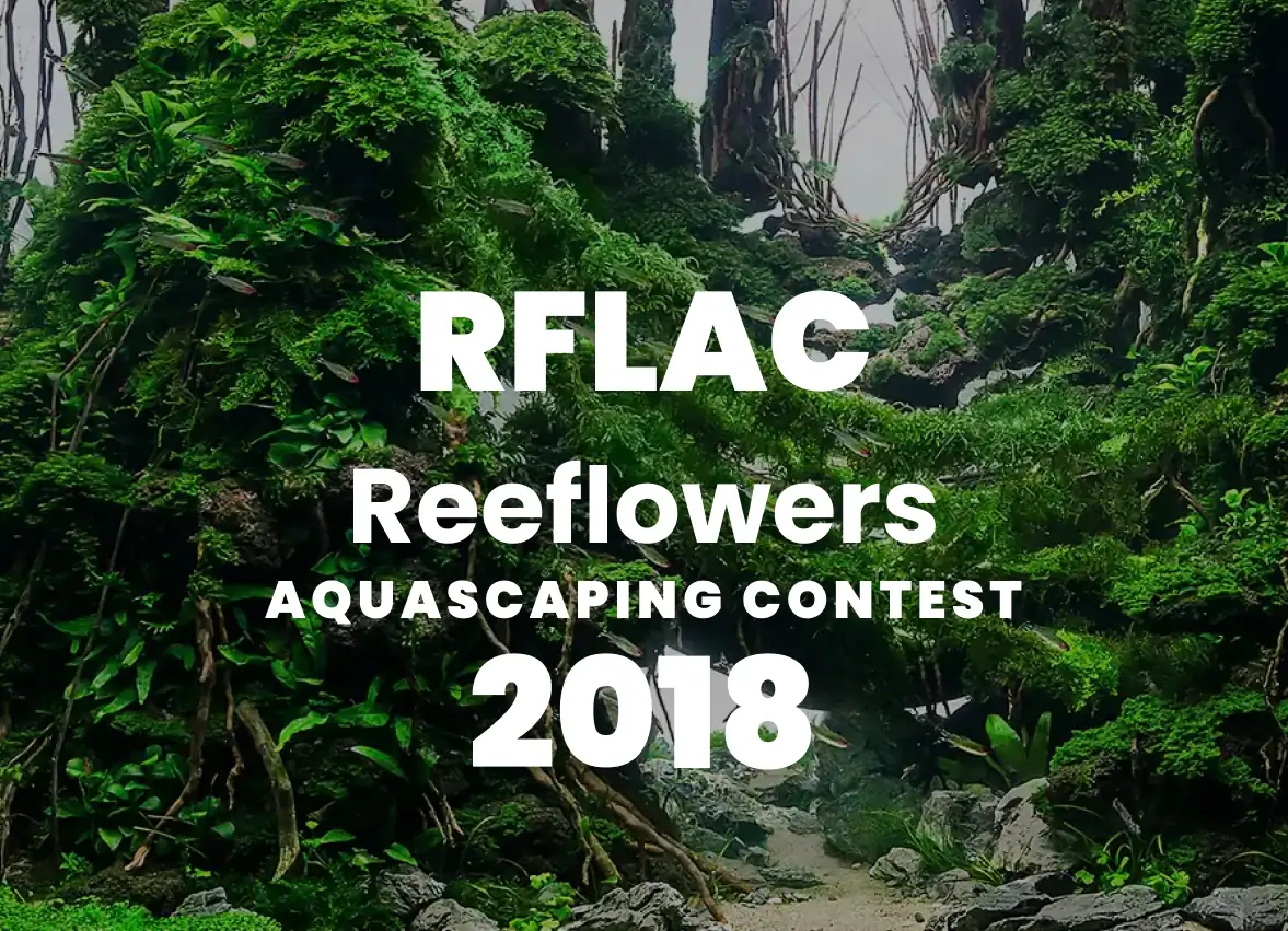 RFLAC 2018 - Reeflowers Aquascaping Contest 2018 Result
