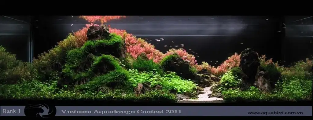 Vietnam Aquatic Design Contest 2011
