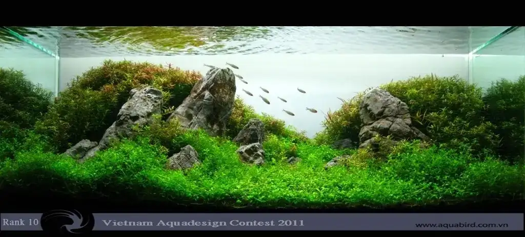 Vietnam Aquatic Design Contest 2011