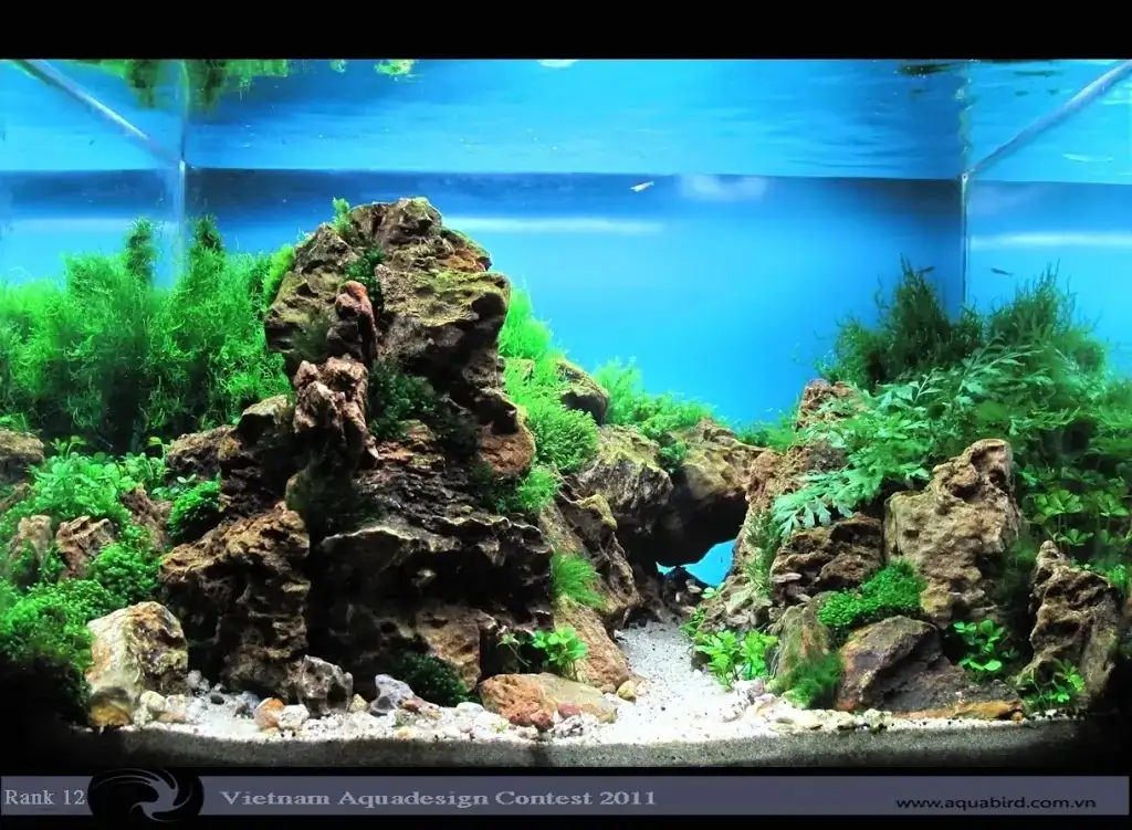 Vietnam Aquatic Design Contest 2011