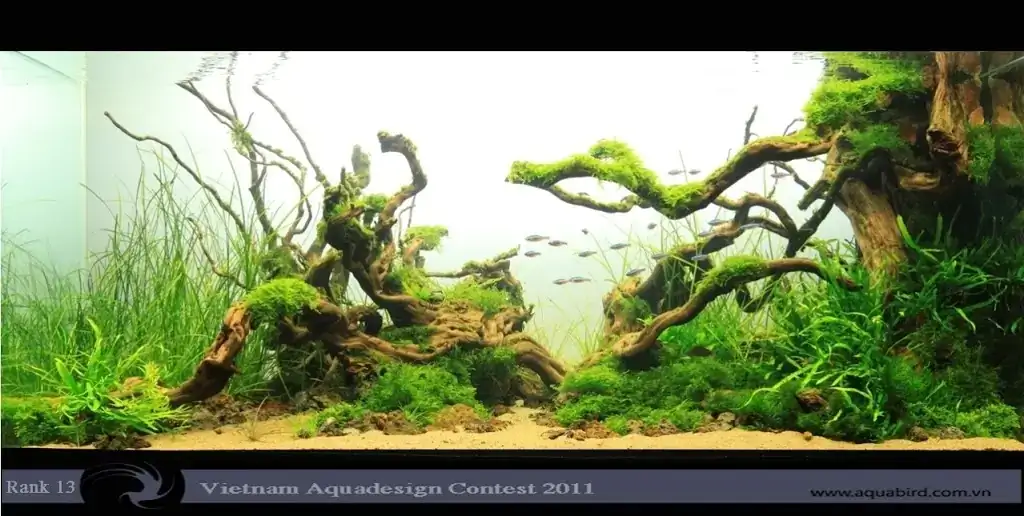 Vietnam Aquatic Design Contest 2011