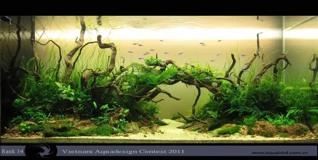 Vietnam Aquatic Design Contest 2011