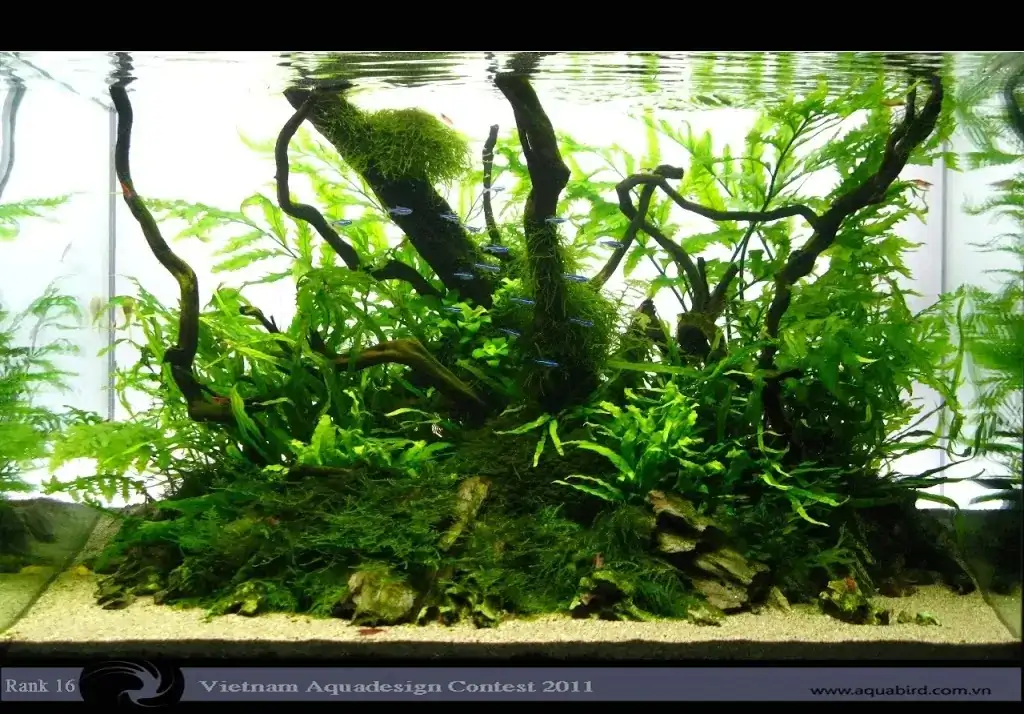 Vietnam Aquatic Design Contest 2011