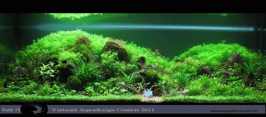 Vietnam Aquatic Design Contest 2011