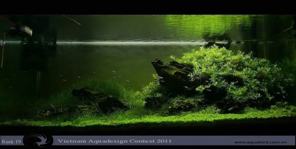 Vietnam Aquatic Design Contest 2011