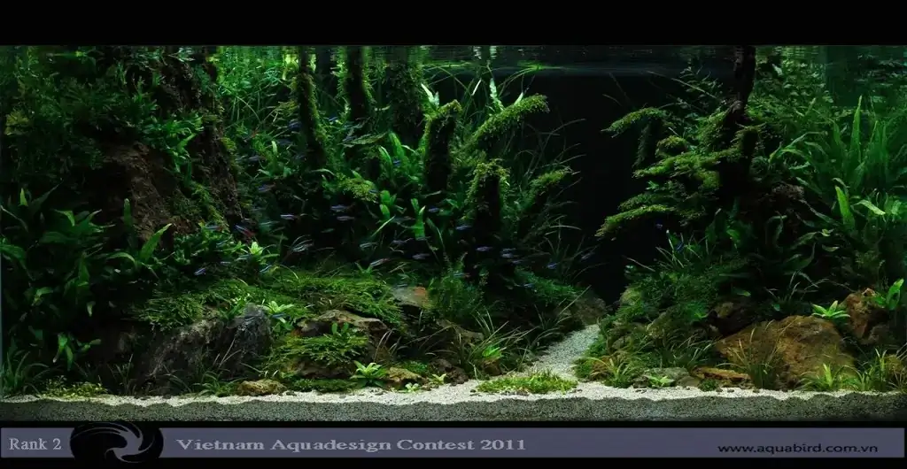 Vietnam Aquatic Design Contest 2011