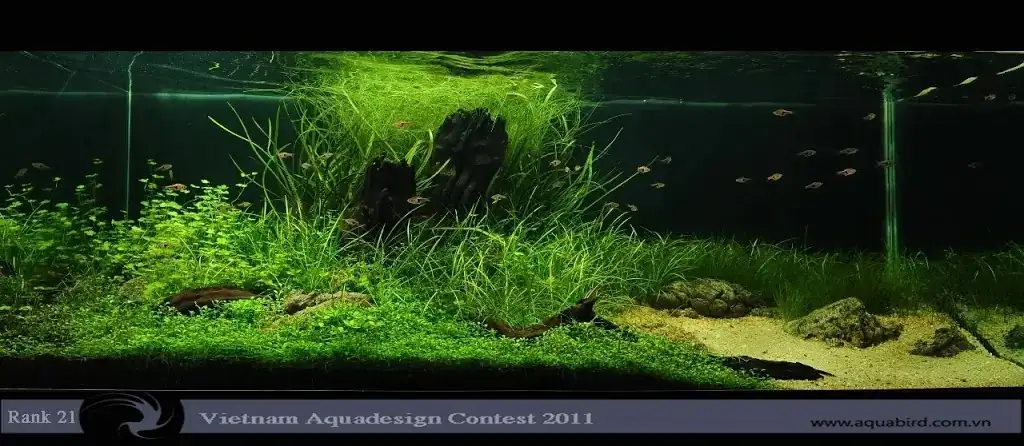 Vietnam Aquatic Design Contest 2011
