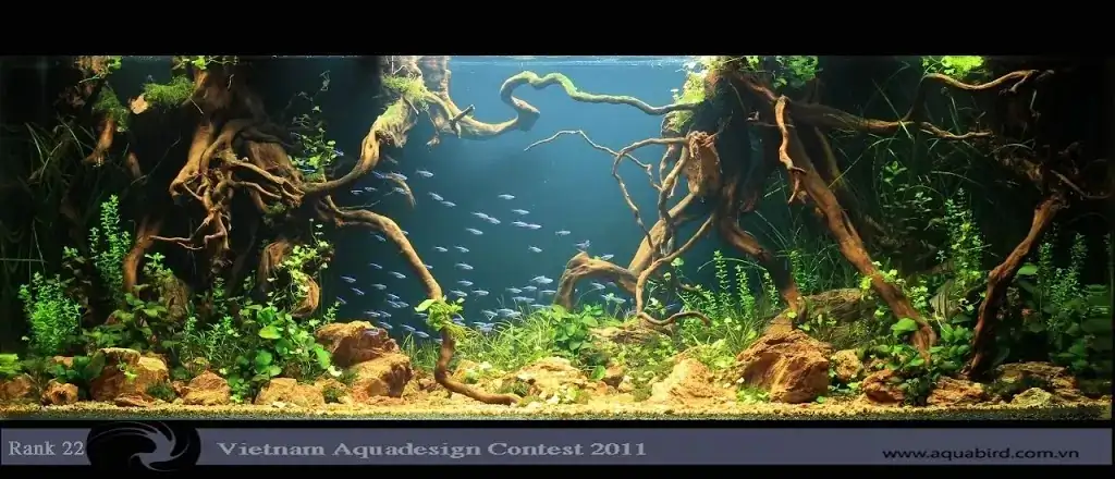 Vietnam Aquatic Design Contest 2011