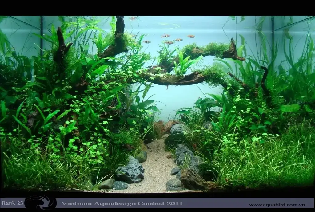 Vietnam Aquatic Design Contest 2011