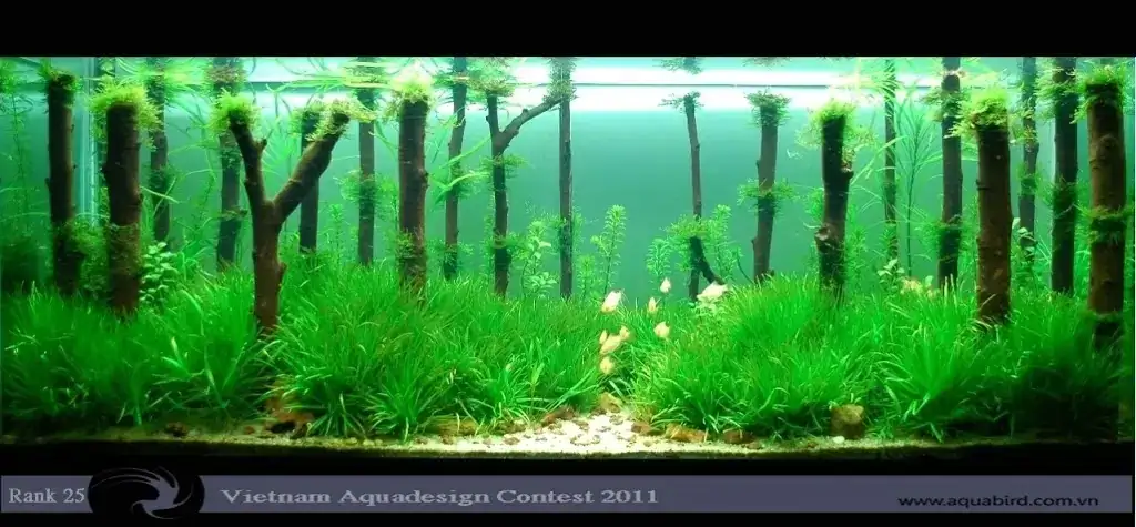 Vietnam Aquatic Design Contest 2011