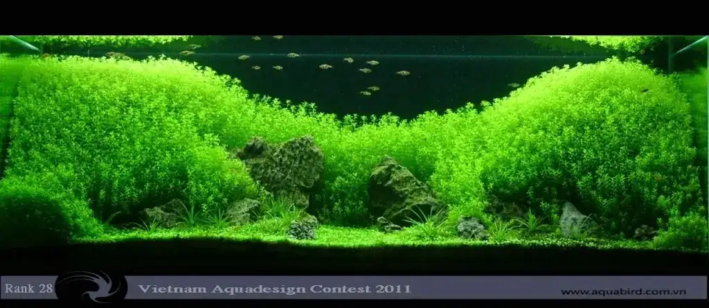 Vietnam Aquatic Design Contest 2011